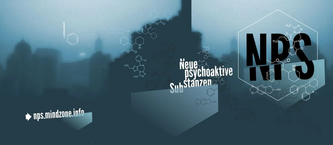 NPS-BOOKLET-2-InDesignFake-Web-HEADER