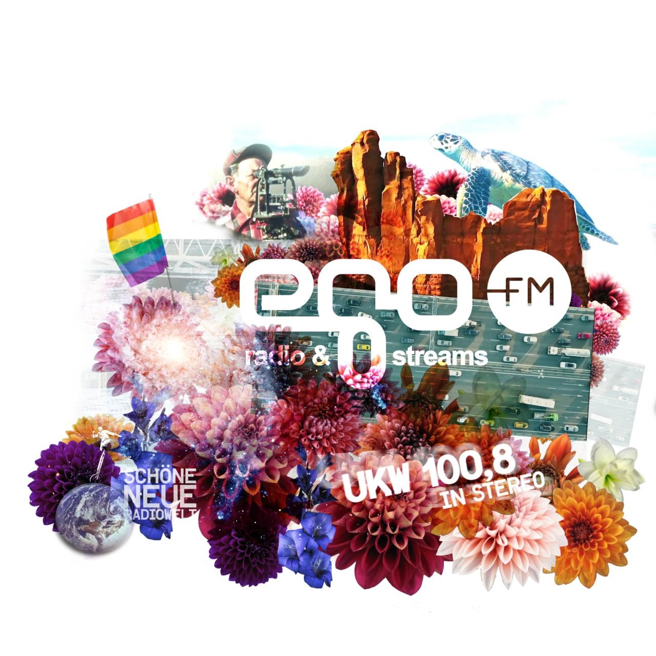 egoFM-2020 youtube CSD 2020