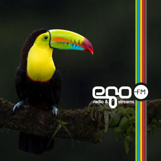 Der egoFM Vogel TOUCAN